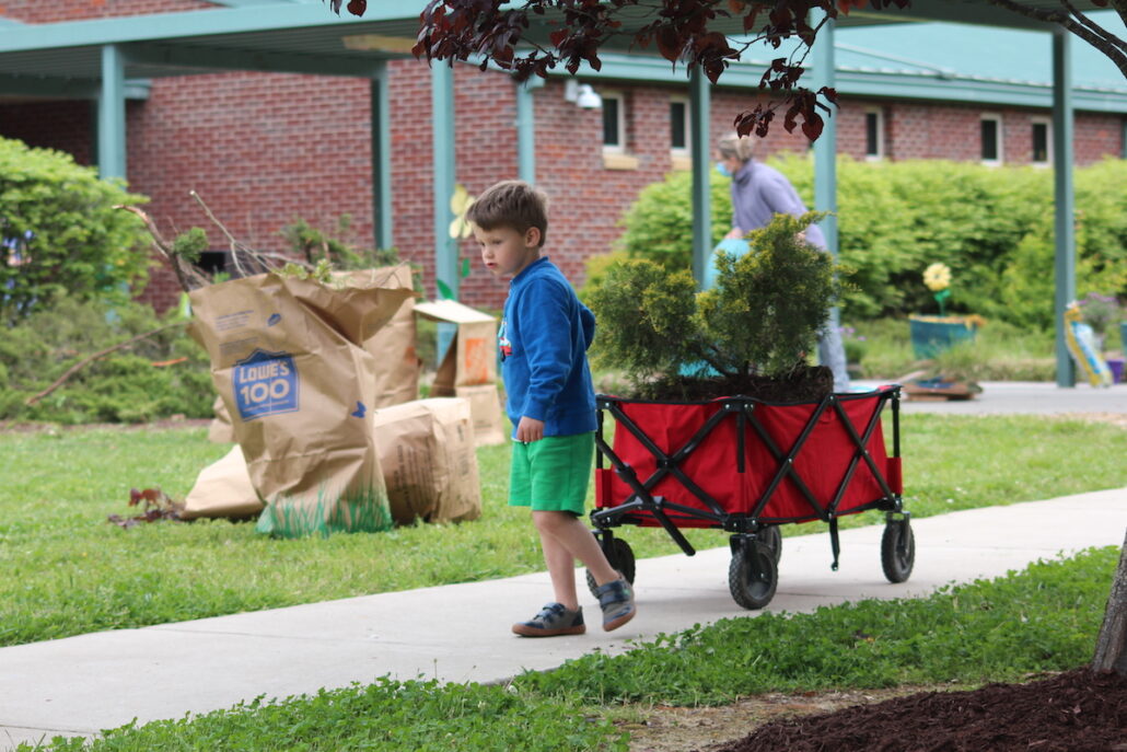 Outdoor Lessons, Nest Building