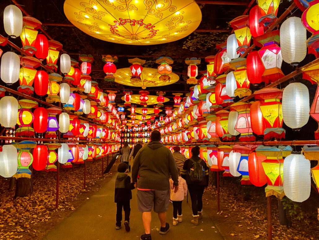 Cary chinese shop lantern festival